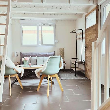 Loft Mandallaz - Au Coeur De La Ville Annecy Dış mekan fotoğraf